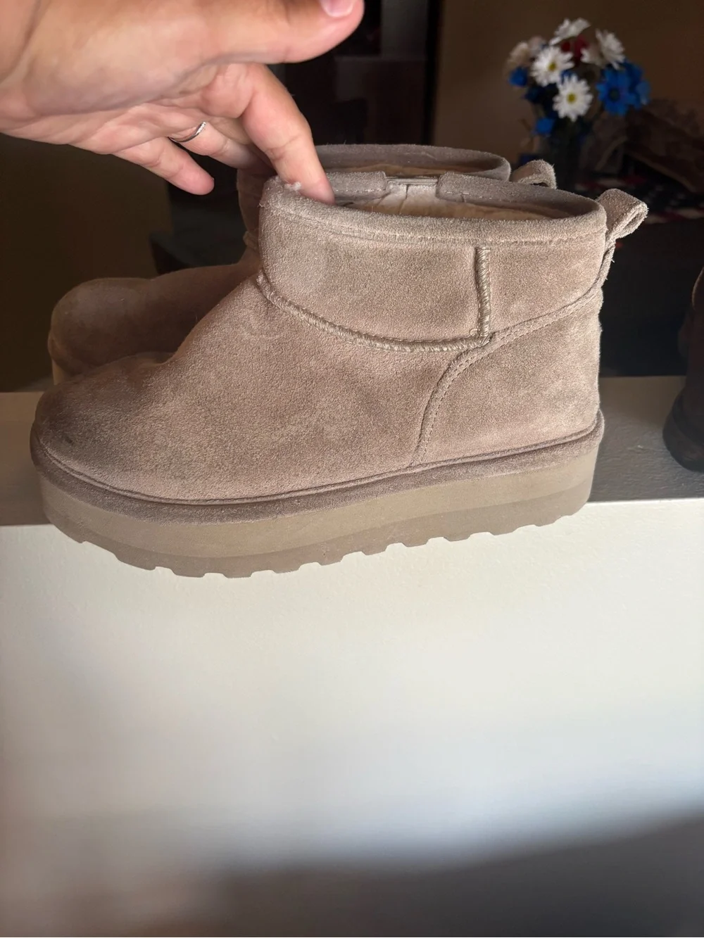 Bear paw retro shorty